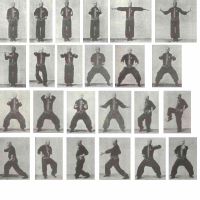 ���ַ���ȭ